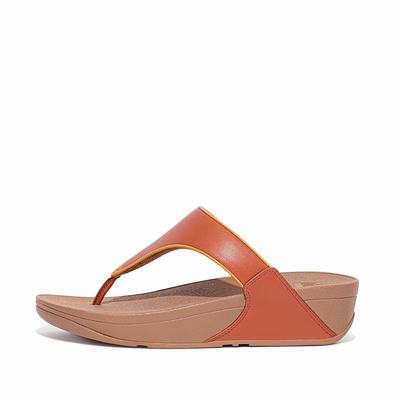 Fitflop Women's LULU Pop Binding Toe-Post Sandals - Brown, ZW5829036